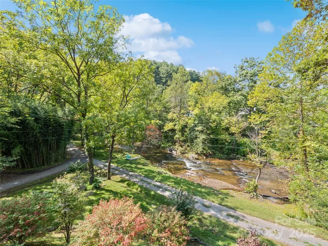 a view of a yard with plants and a bench