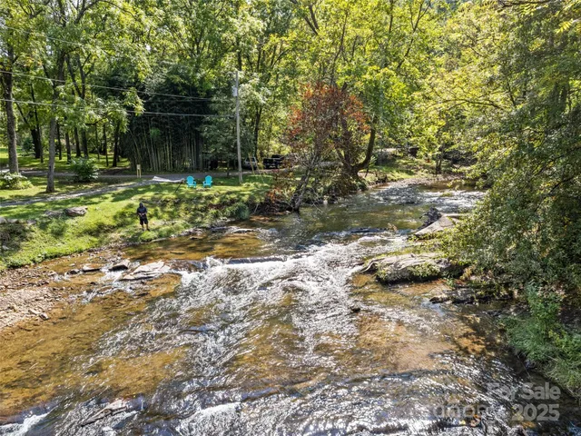 a view of a tree with a yard