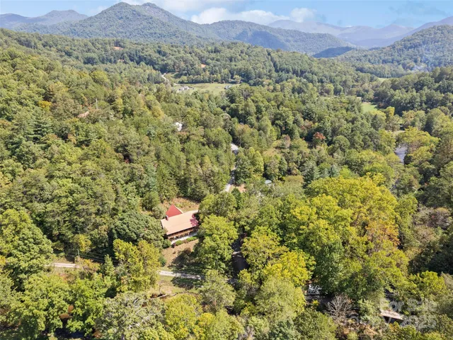 a view of a lush green field with mountains in the background