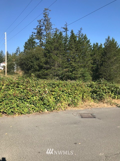 3 Hamilton Ranch Road San Juan Island, WA 98250 - Photo 2 of 3 Gallery Image 2