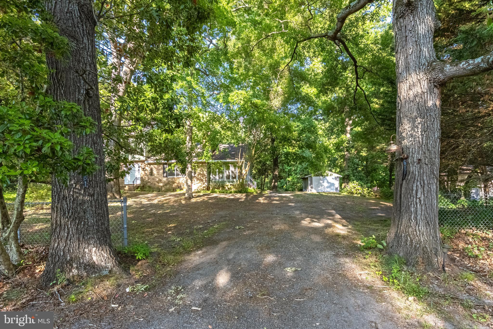 6181 Rockawalkin Road Salisbury, MD 21801 - Photo 39 of 65 a view of a yard with a tree