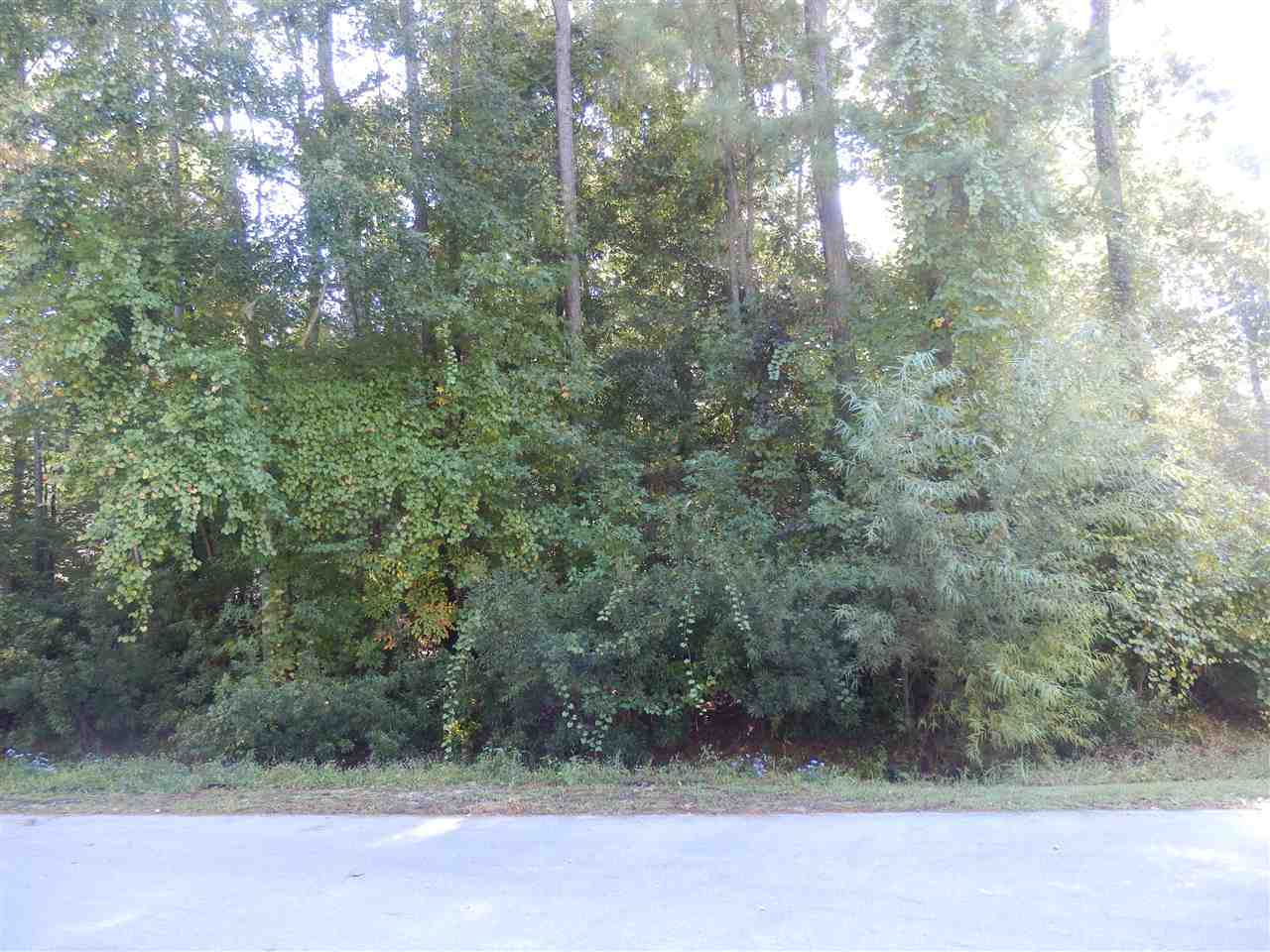 1010 Beech Tree Road Jacksonville, NC 28546 - Photo 1 of 2 Primary Photo