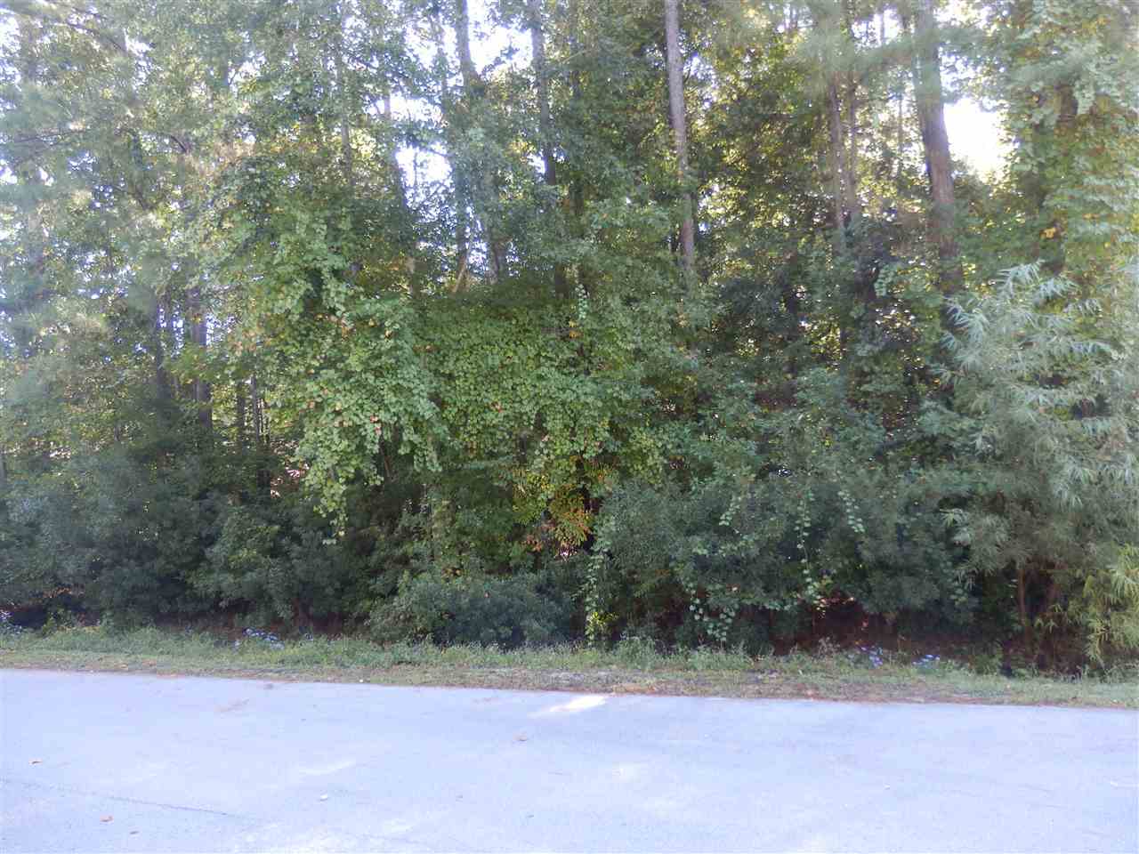1010 Beech Tree Road Jacksonville, NC 28546 - Photo 2 of 2 Additional Photo