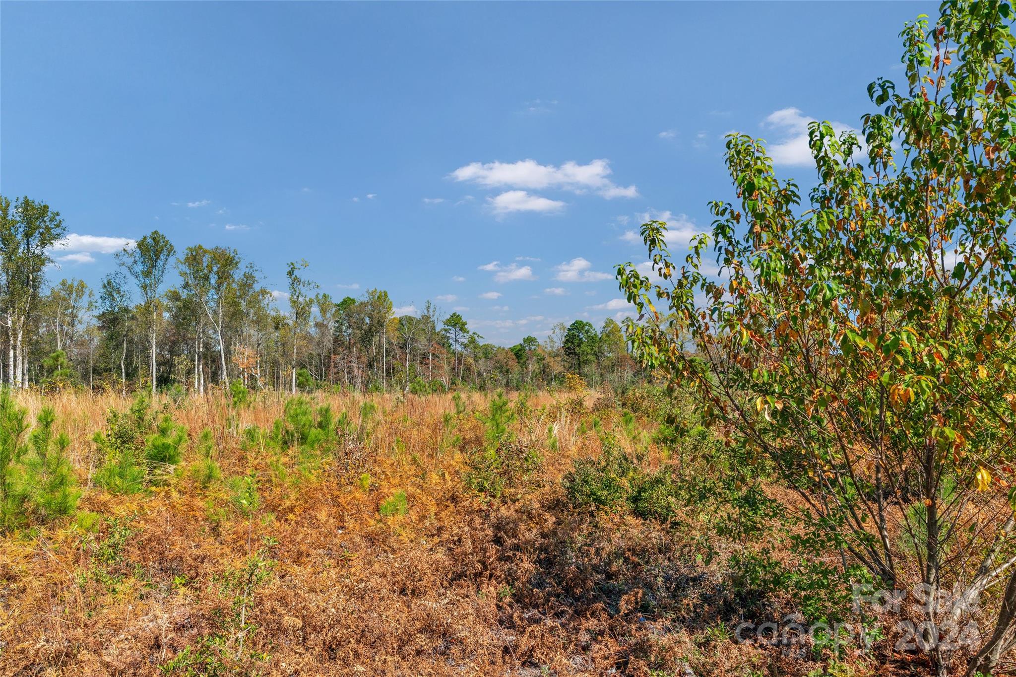 0 Riley Road, Unit 1 Chesterfield, SC 29709 - Photo 18 of 23 a view of lake with green space