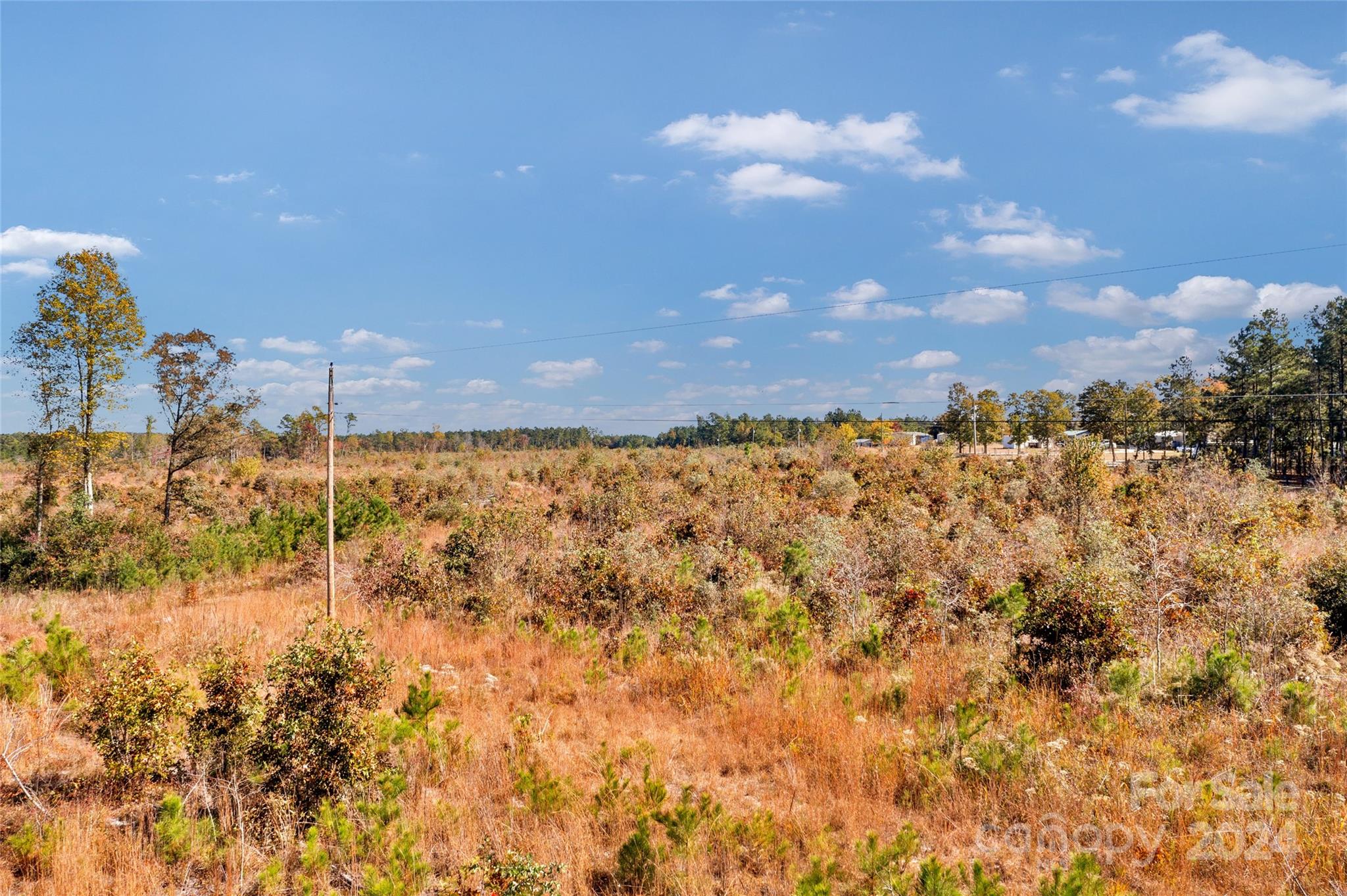 0 Riley Road, Unit 1 Chesterfield, SC 29709 - Photo 9 of 23 a view of a lake