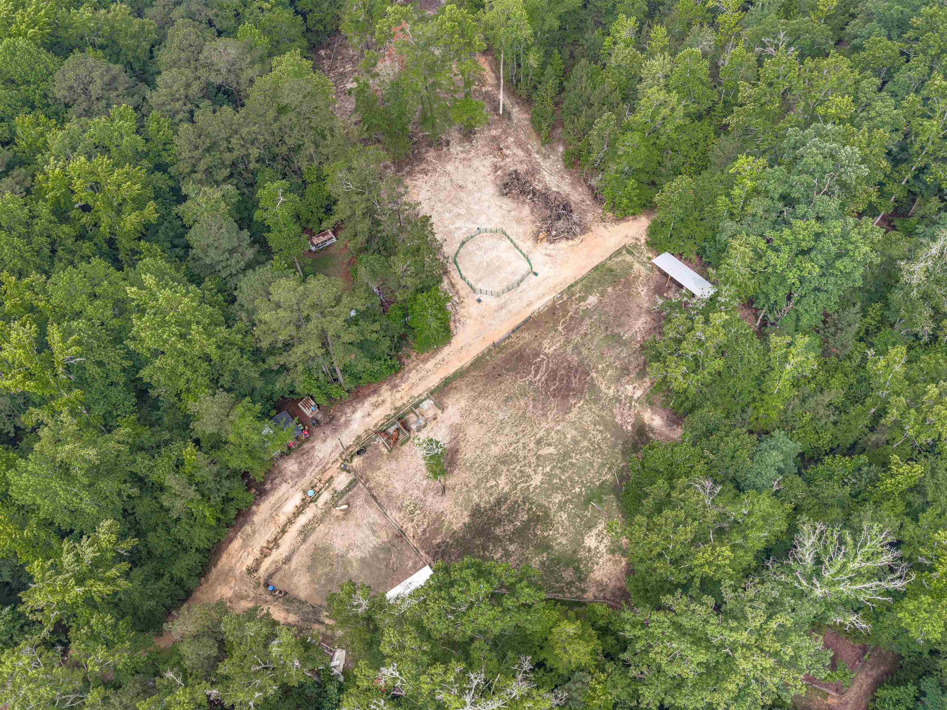565 Portia Road Blythewood, SC 29016 - Photo 67 of 70