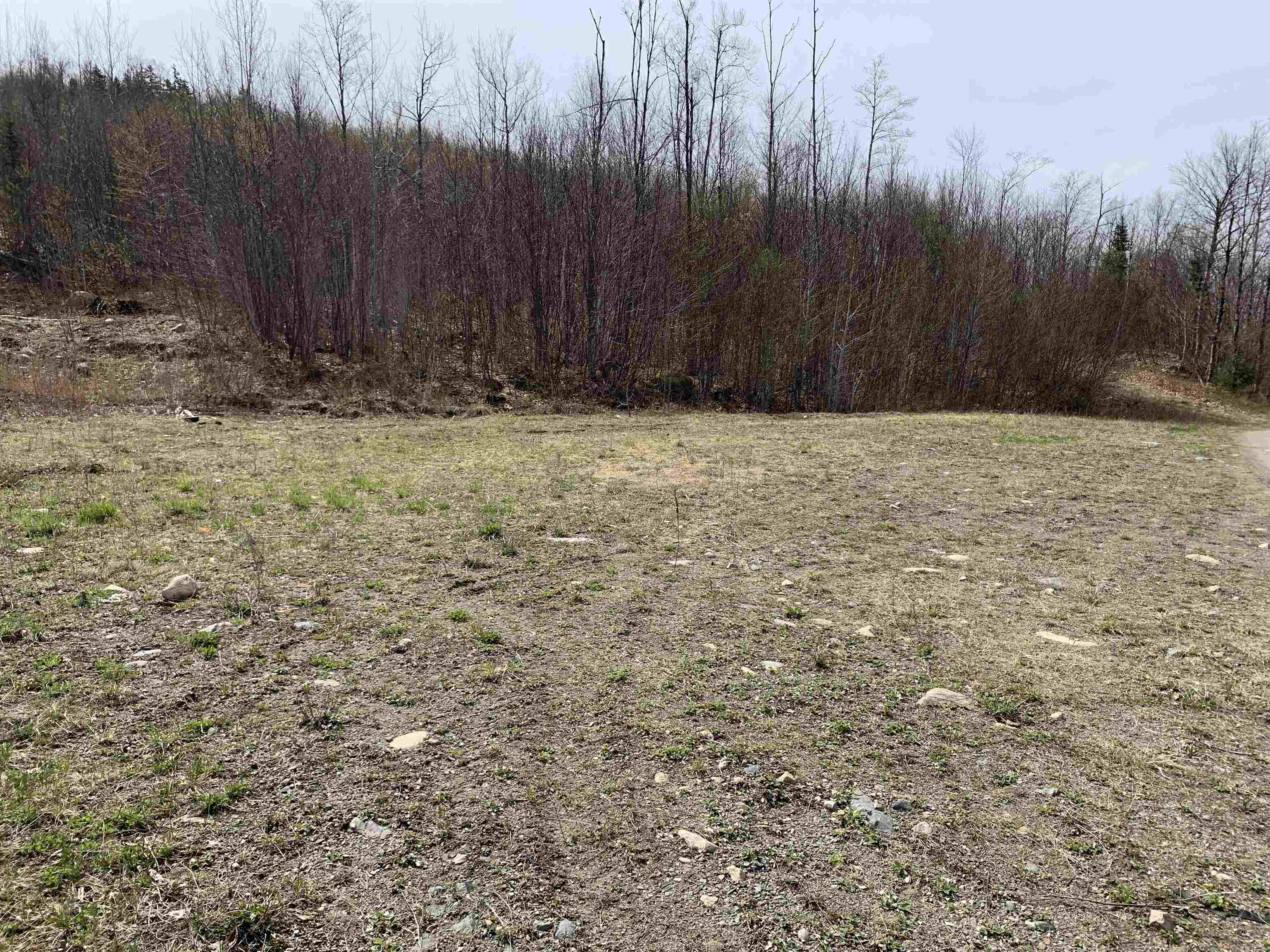 Lot 13 Washburn Road North Stratford, NH 03590 - Photo 3 of 8