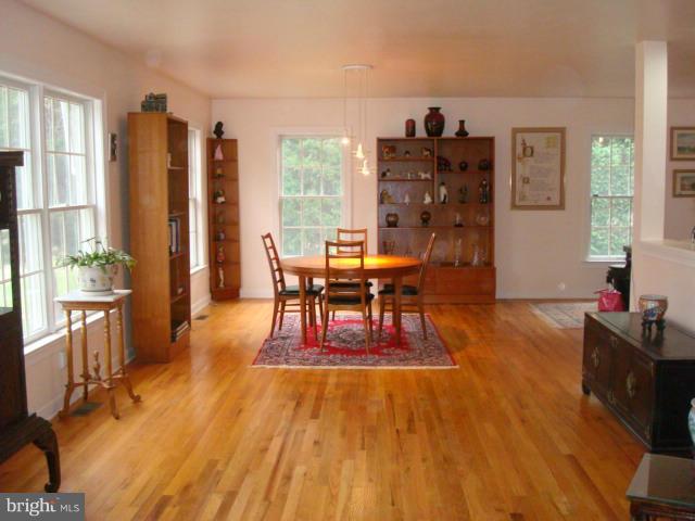 101 Wye Acres Road Queenstown, MD 21658 - Photo 30 of 30 Living Dining Open Floor Plan