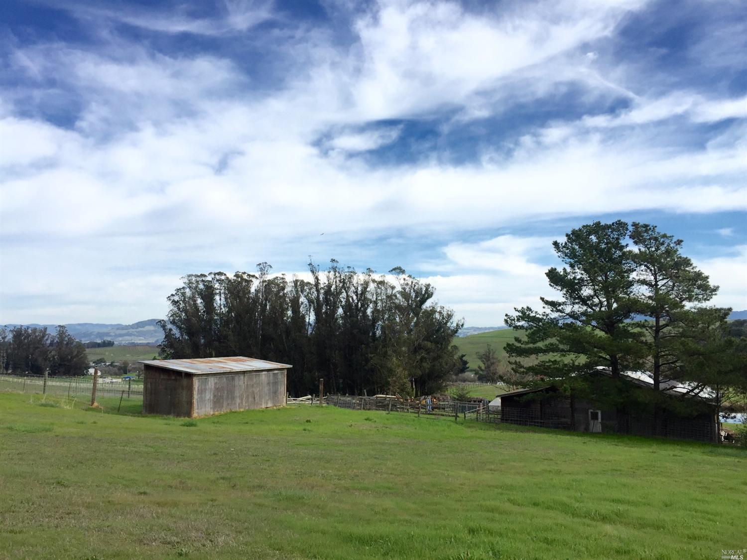7115 Orchard Station Road Sebastopol, CA 95472 - Photo 1 of 1 a view of a garden and basketball court
