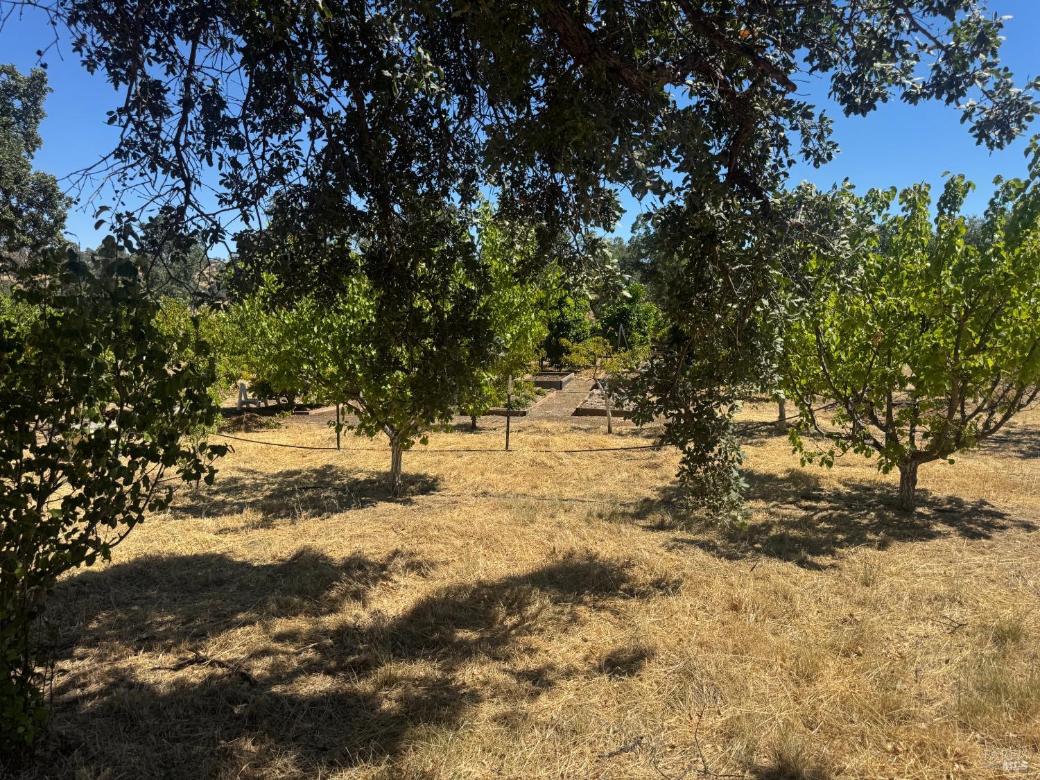 8600 Pleasants Valley Road Winters, CA 95694 - Photo 49 of 50 Gallery Image 49
