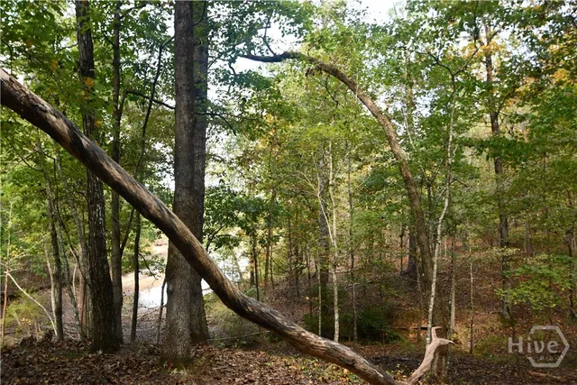 $530,000 | 1165 Watersedge Cove, Tignall, GA 30668