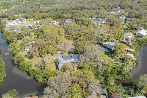 a view of a yard with plants