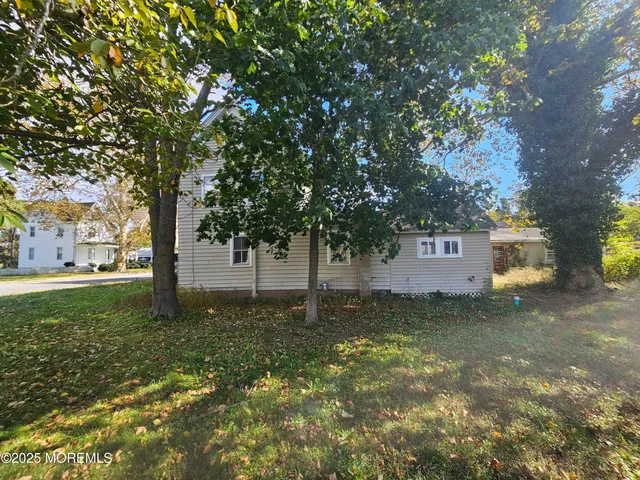 a tree in the middle of a yard