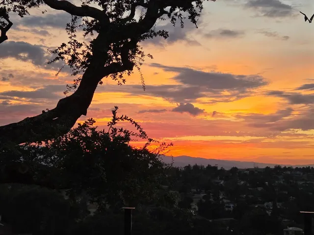 $2,999,888 | 15860 Jackson Oaks Drive, Morgan Hill, CA 95037