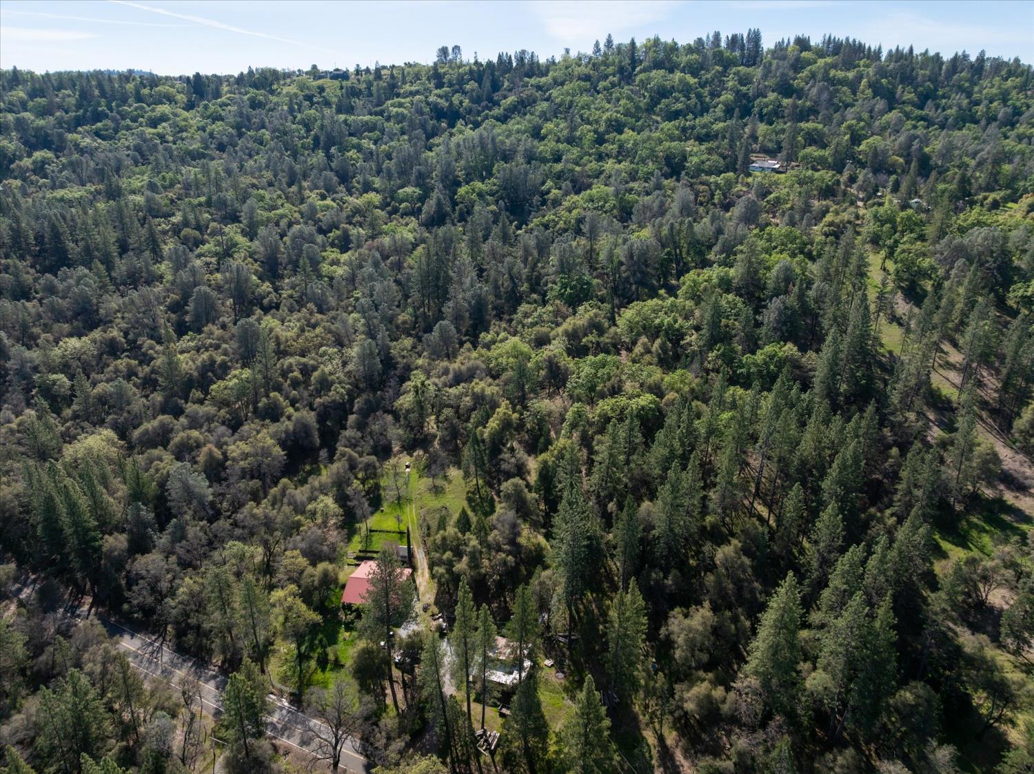 3640 Omo Ranch Road Somerset, CA 95684 - Photo 52 of 57 a view of a forest with a street