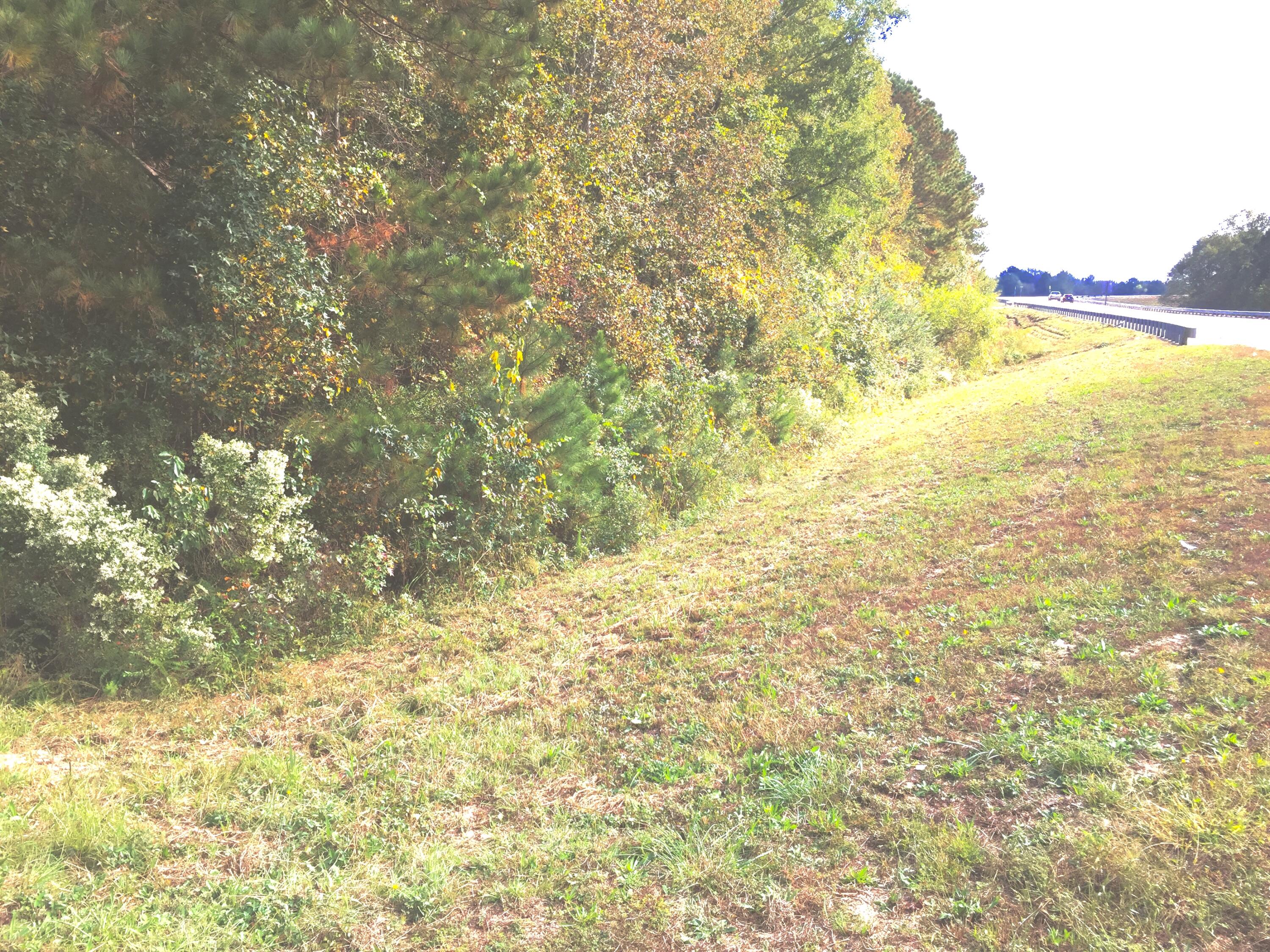 A-00 Harrison Road Thomson, GA 30824 - Photo 3 of 11 IMG_1553