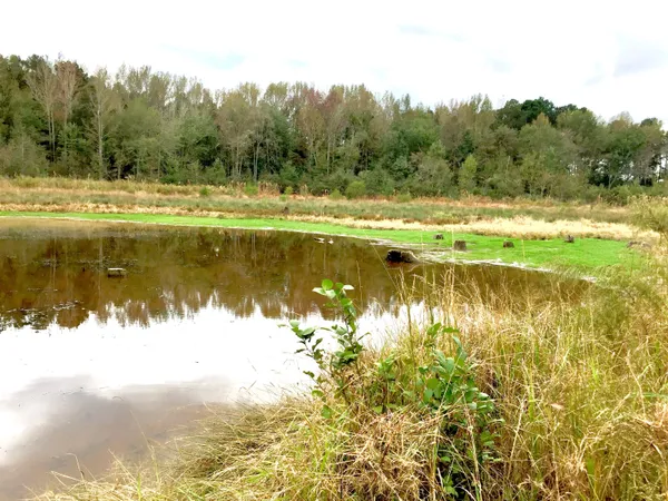 $181,900 | A-00 Harrison Road, Thomson, GA 30824