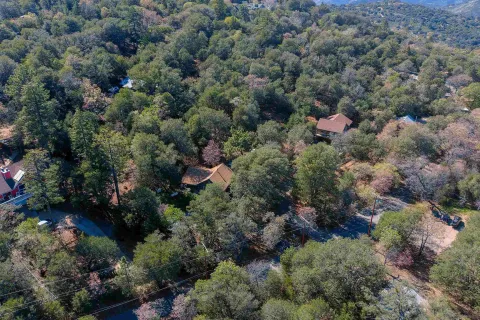 an aerial view of a residential houses covered in trees