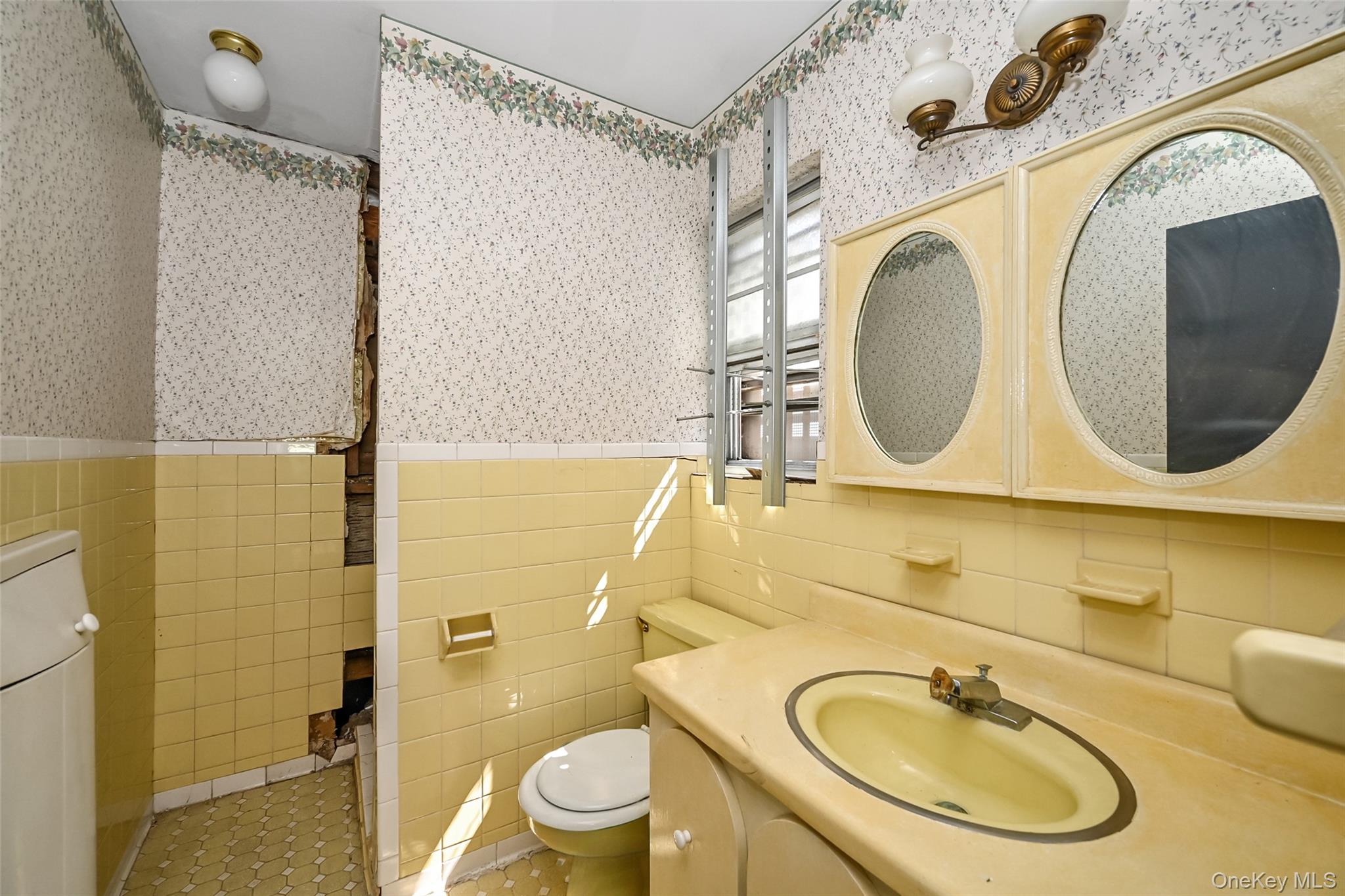 2255 Parkhurst Road Elmont, NY 11003 - Photo 11 of 24 a bathroom with a toilet mirror and tub