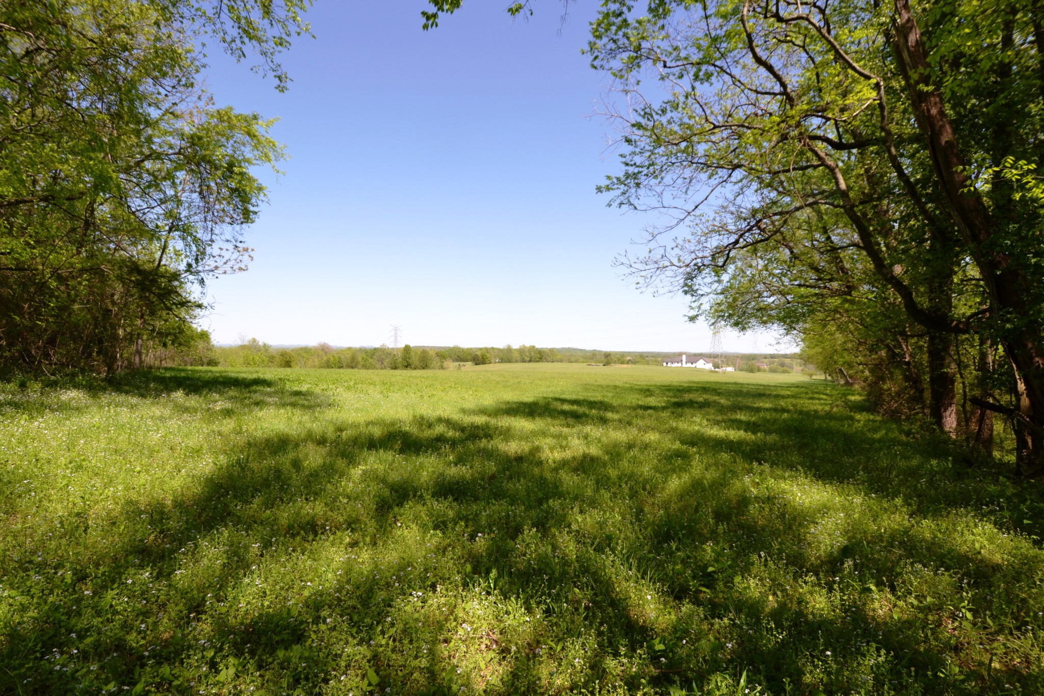 a view of an outdoor space and a yard