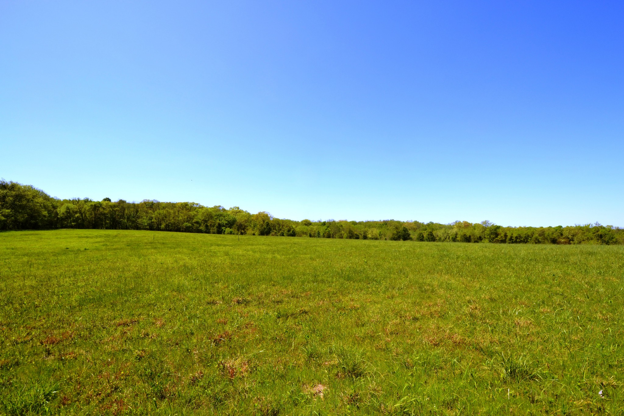 1 Horn Springs Road Lebanon, TN 37087 - Photo 13 of 58 a view of an ocean from a city