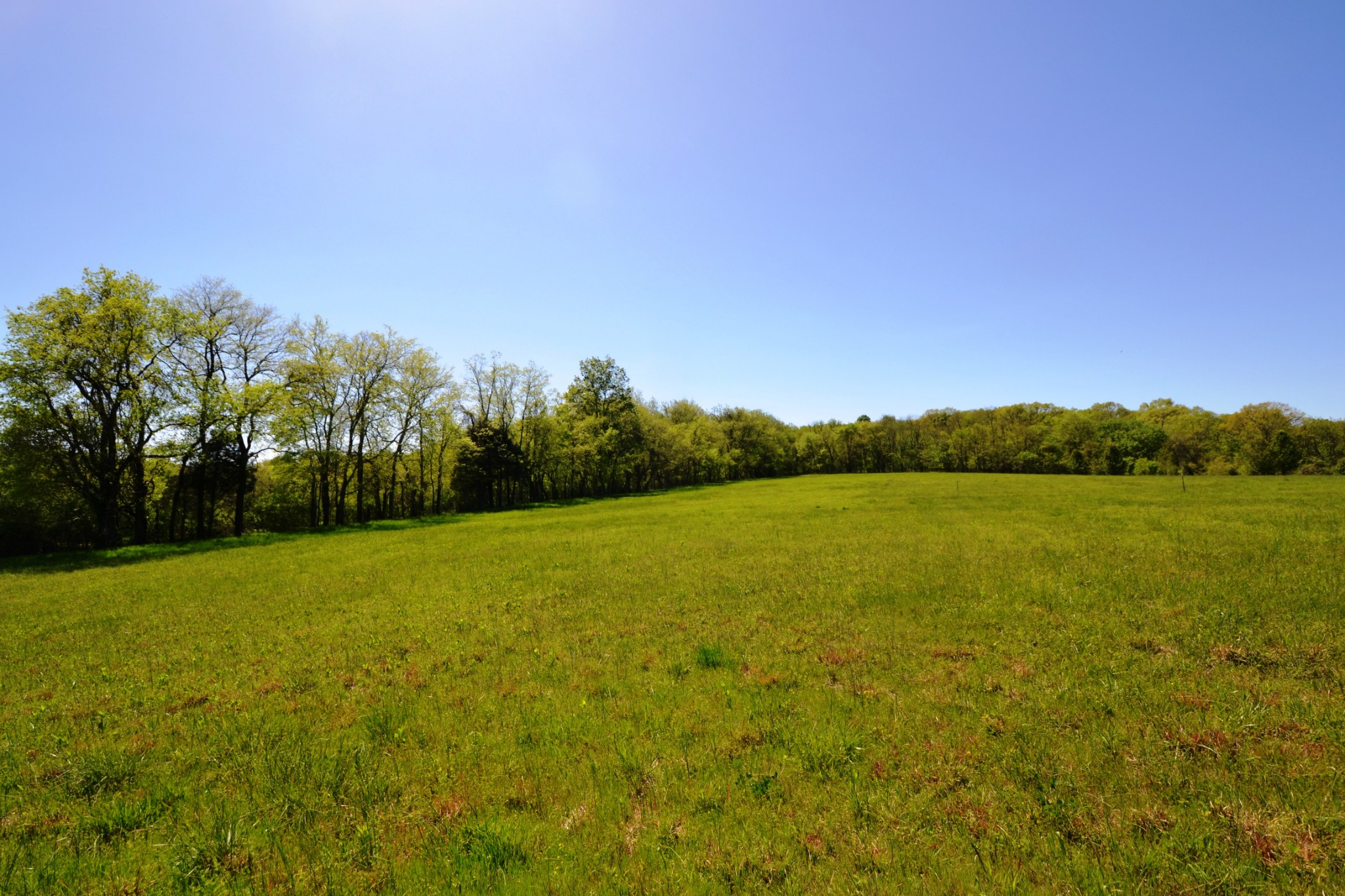 1 Horn Springs Road Lebanon, TN 37087 - Photo 14 of 58