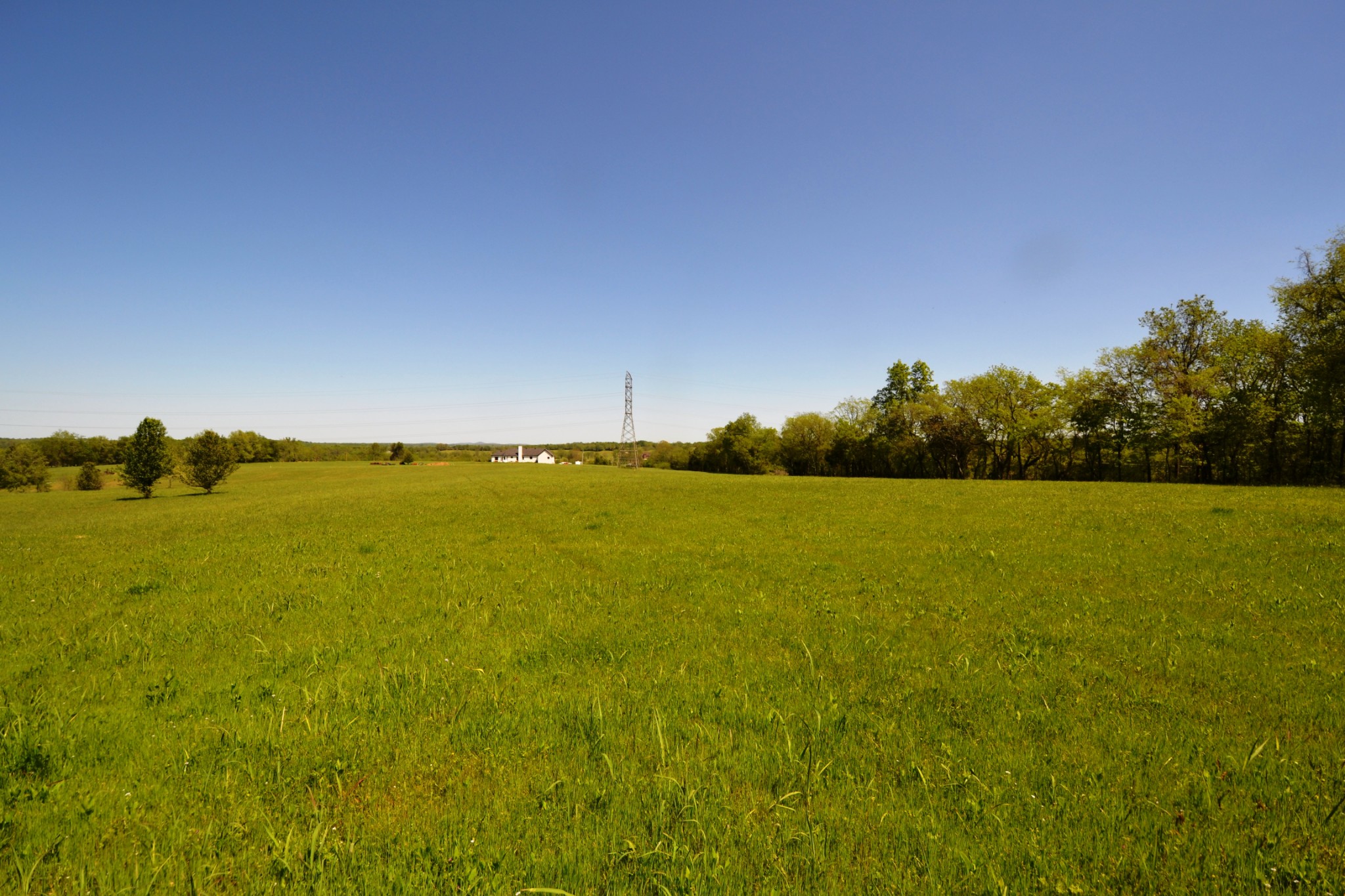1 Horn Springs Road Lebanon, TN 37087 - Photo 16 of 58 a view of an ocean and beach