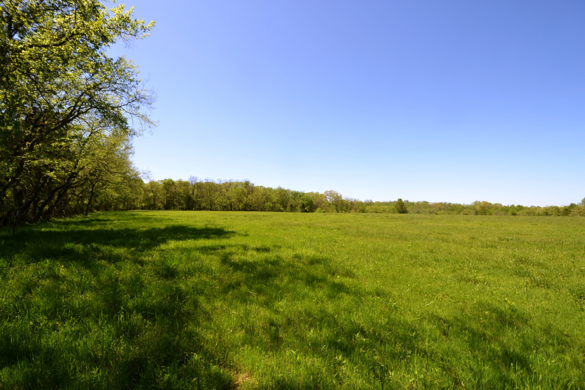 1 Horn Springs Road Lebanon, TN 37087 - Photo 18 of 58