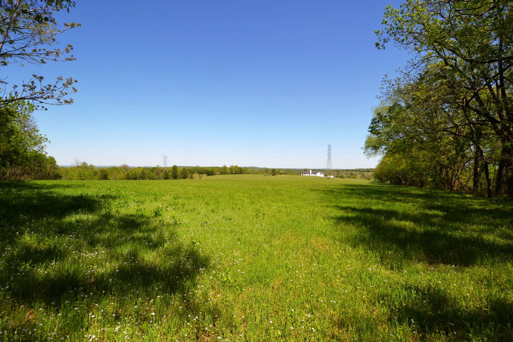 1 Horn Springs Road Lebanon, TN 37087 - Photo 2 of 58 a view of an ocean