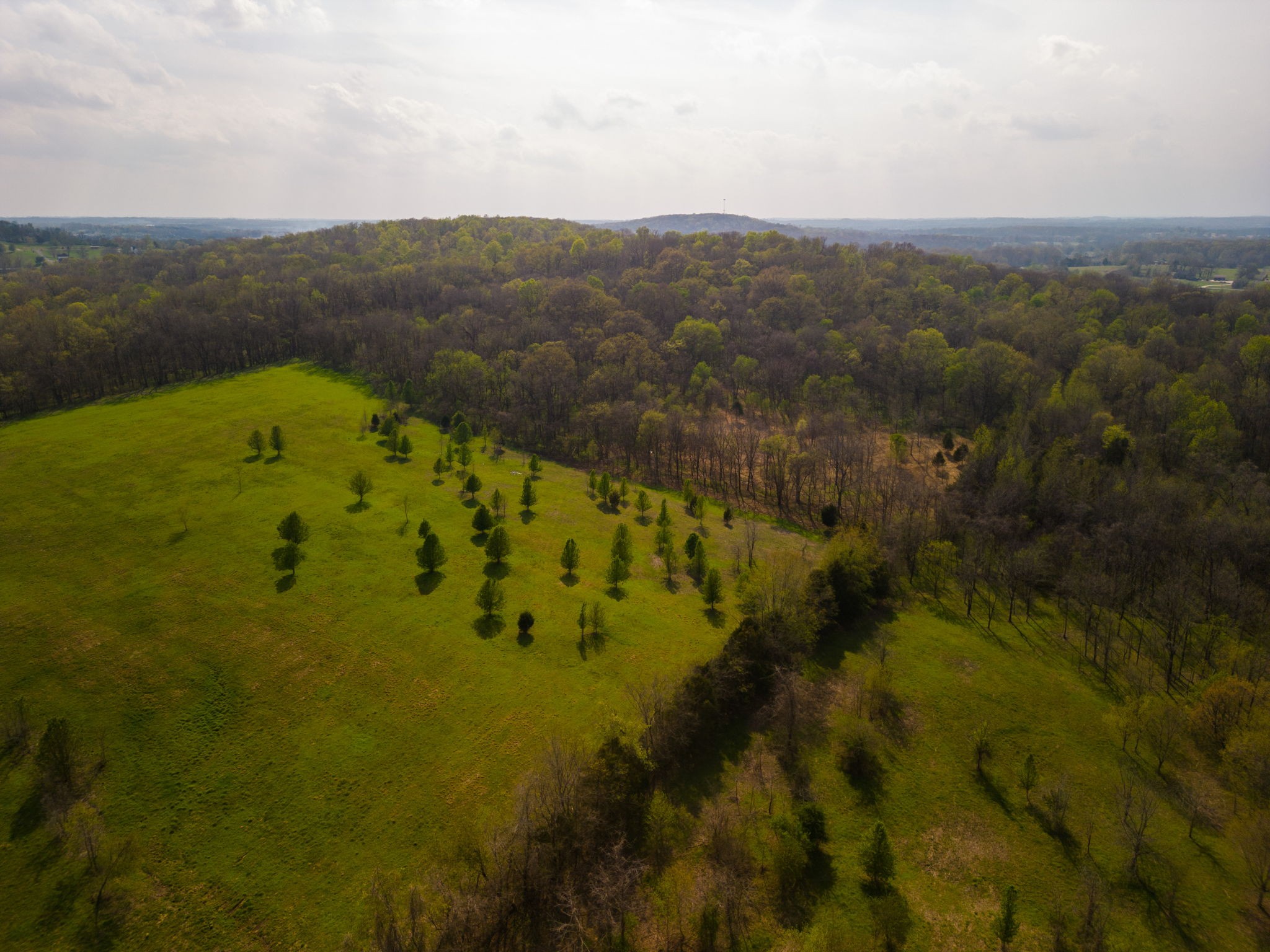 1 Horn Springs Road Lebanon, TN 37087 - Photo 23 of 58 a view of lake with mountain