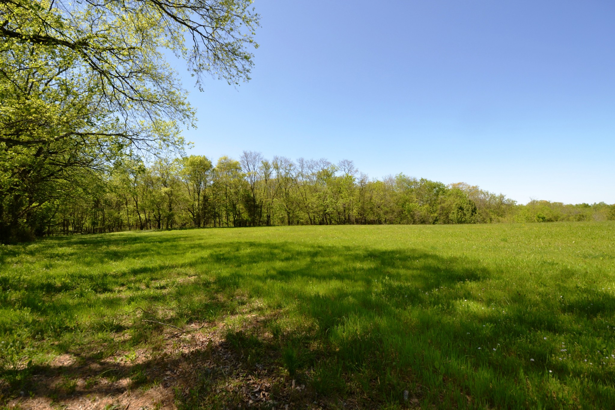 1 Horn Springs Road Lebanon, TN 37087 - Photo 3 of 58 a view of a green field with wooden fence