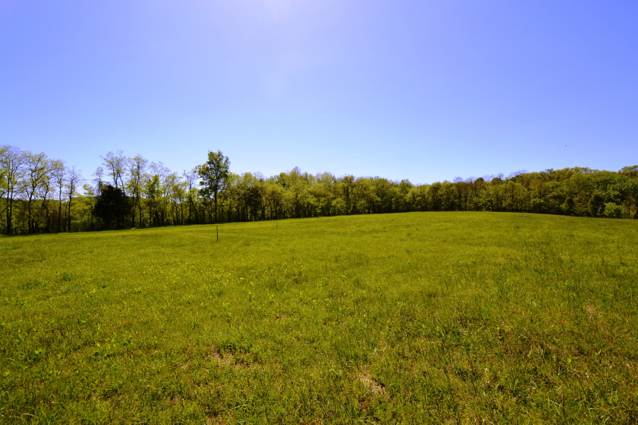 1 Horn Springs Road Lebanon, TN 37087 - Photo 4 of 58 a view of yard with ocean and trees in the background