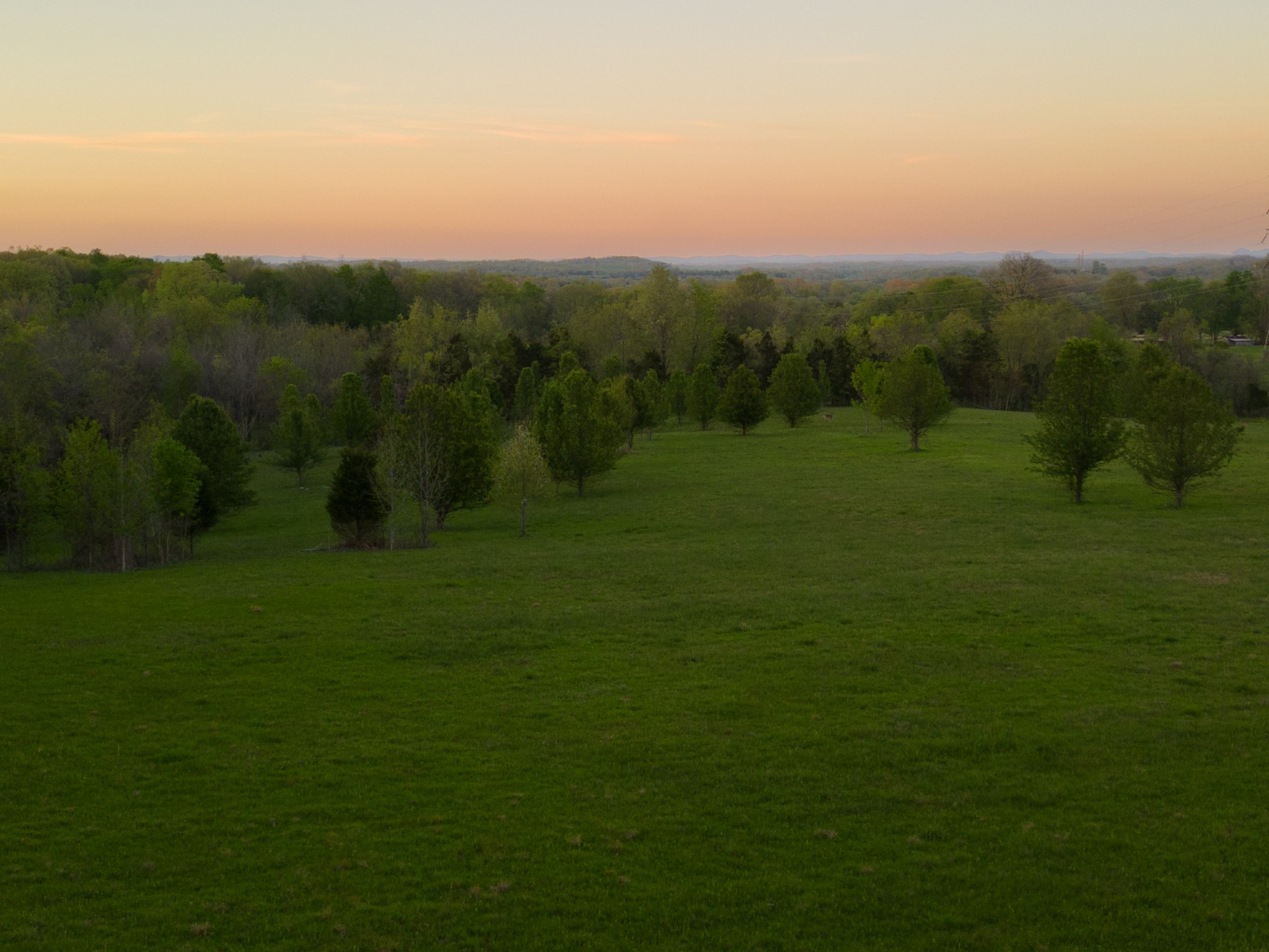 1 Horn Springs Road Lebanon, TN 37087 - Photo 41 of 58 a view of a grassy field with trees