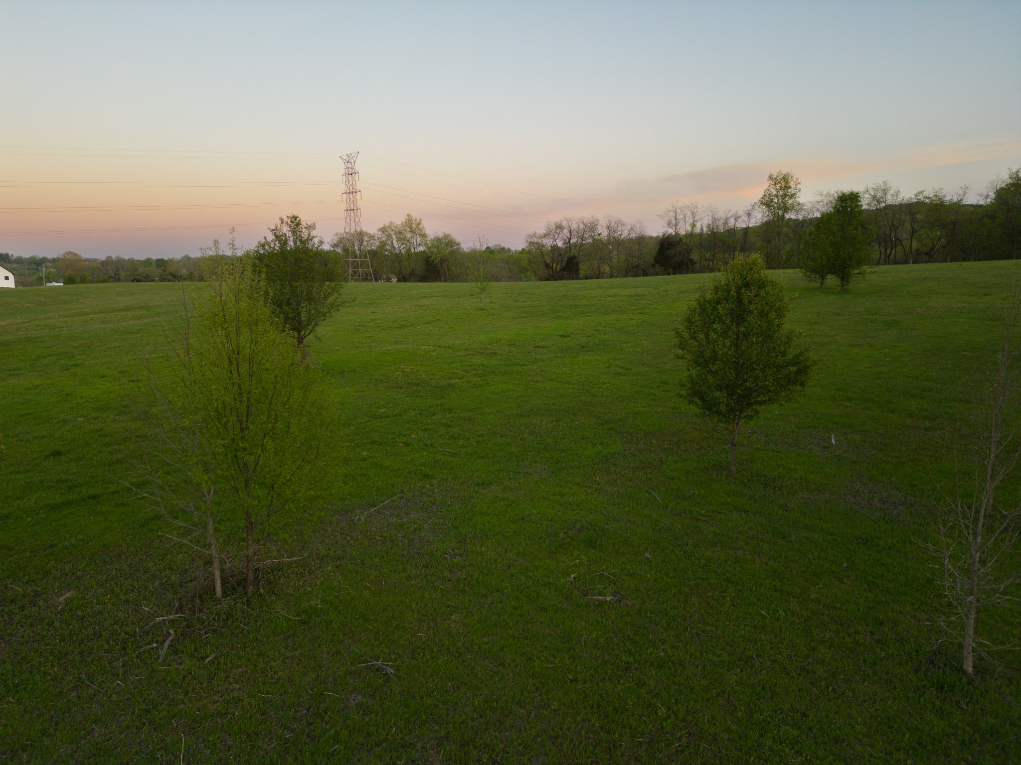 1 Horn Springs Road Lebanon, TN 37087 - Photo 46 of 58 a view of a big room with a garden