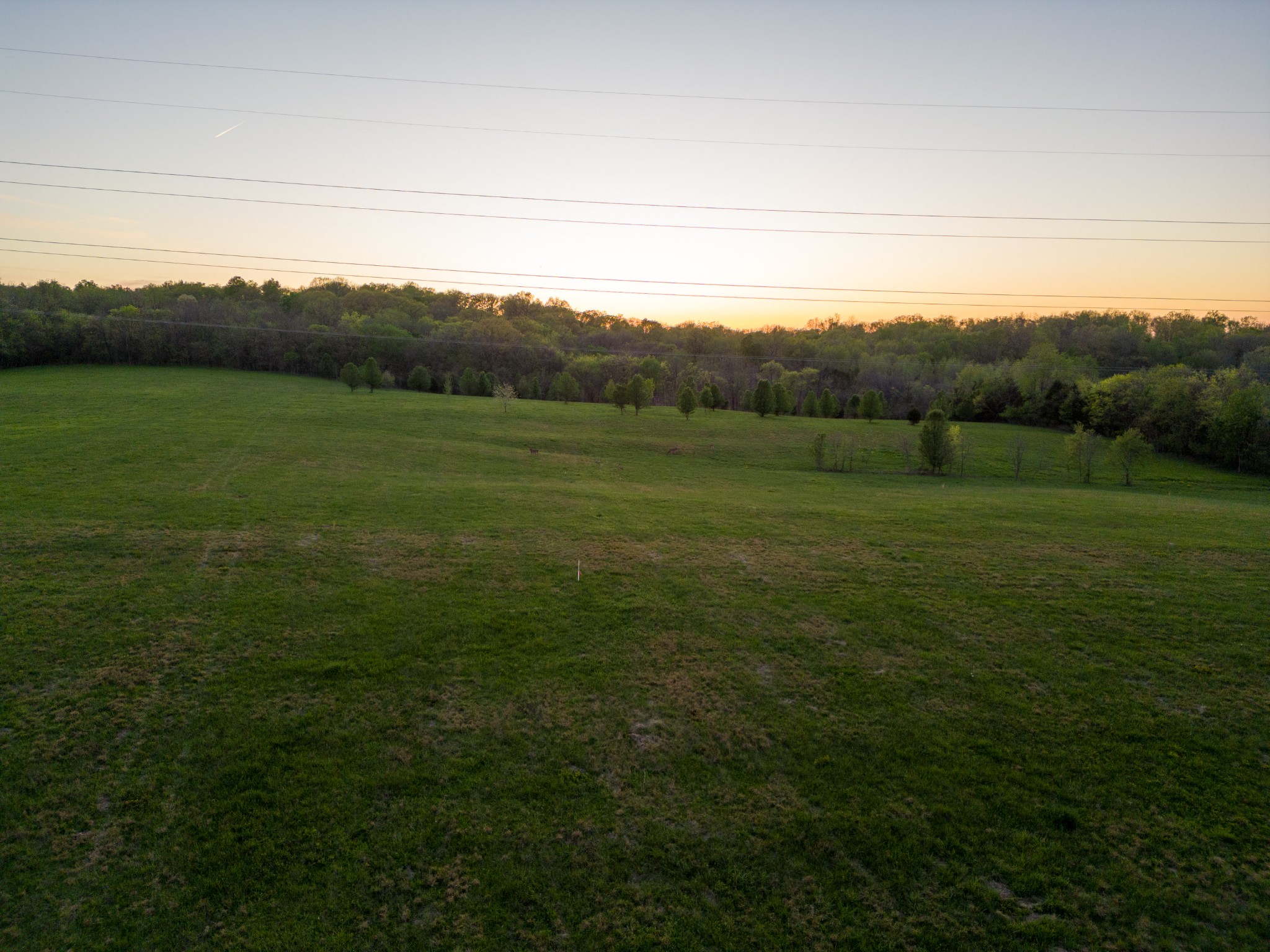 1 Horn Springs Road Lebanon, TN 37087 - Photo 47 of 58 a view of an outdoor space and a yard