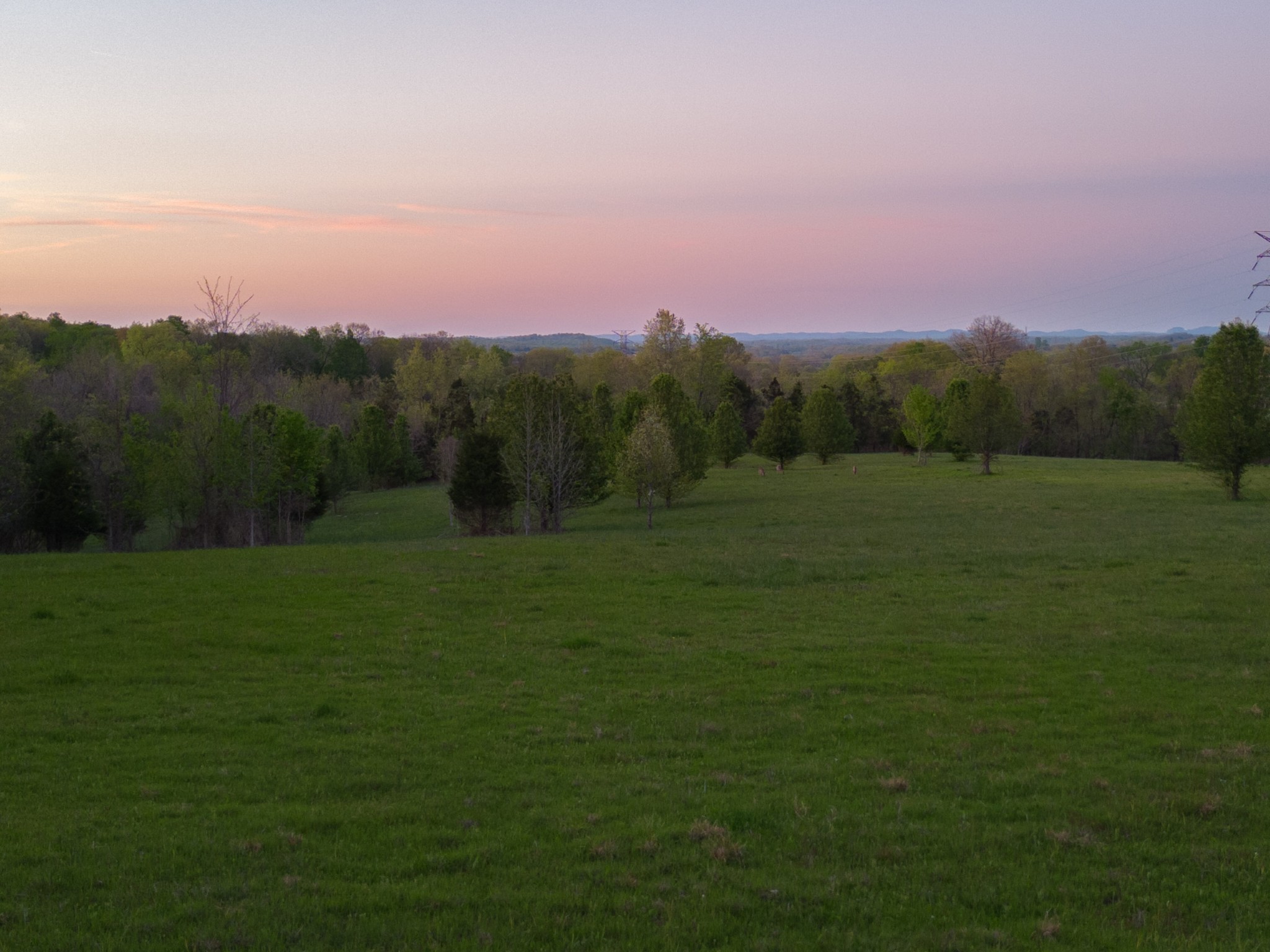 1 Horn Springs Road Lebanon, TN 37087 - Photo 48 of 58 a view of a grassy field with an trees