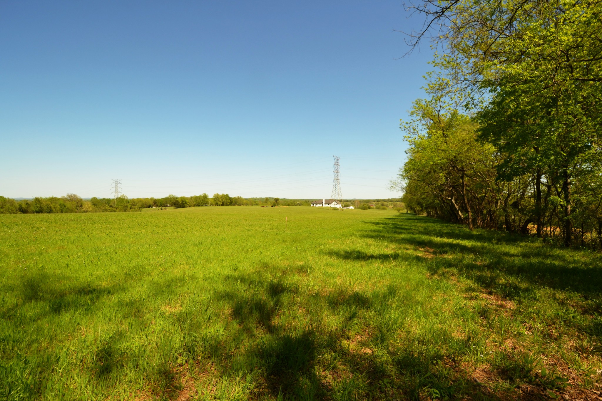 1 Horn Springs Road Lebanon, TN 37087 - Photo 5 of 58 a view of an ocean from a yard