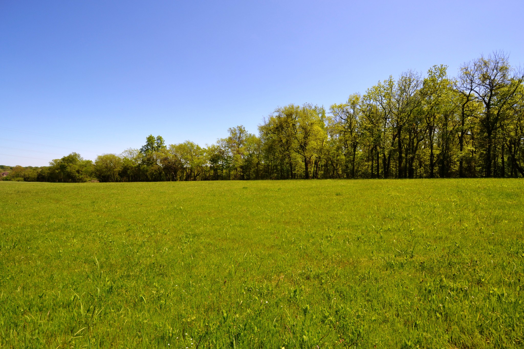 1 Horn Springs Road Lebanon, TN 37087 - Photo 6 of 58