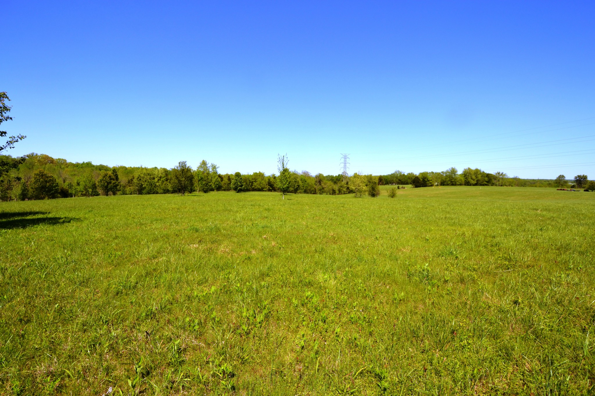 1 Horn Springs Road Lebanon, TN 37087 - Photo 10 of 58 a view of an ocean from a balcony