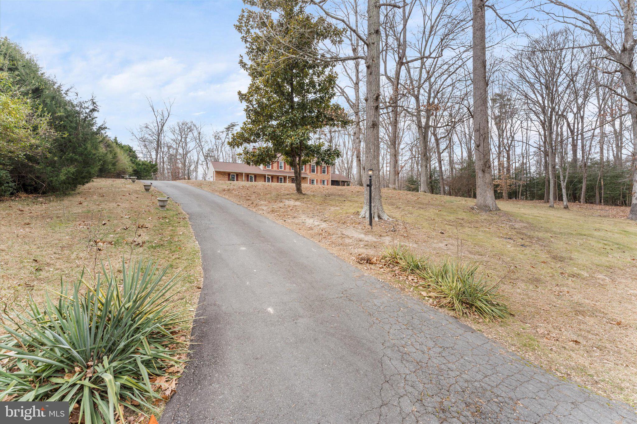 8015 Stillbrooke Road Manassas, VA 20112 - Photo 9 of 34 a view of road and trees around