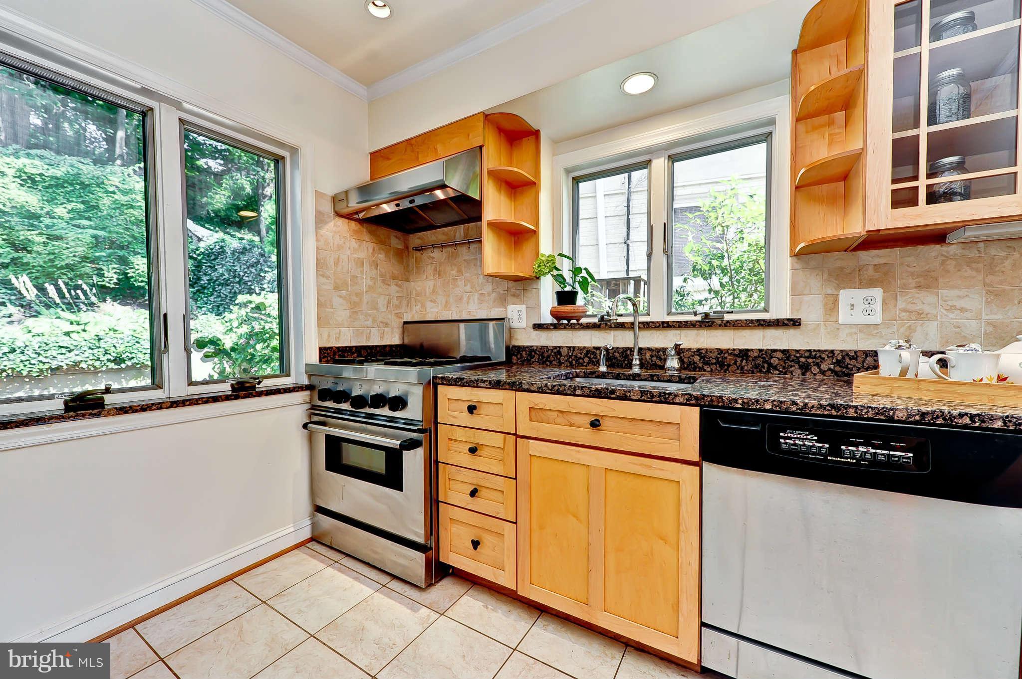 3203 Russell Road Alexandria, VA 22305 - Photo 14 of 30 a kitchen with stainless steel appliances a stove sink and window