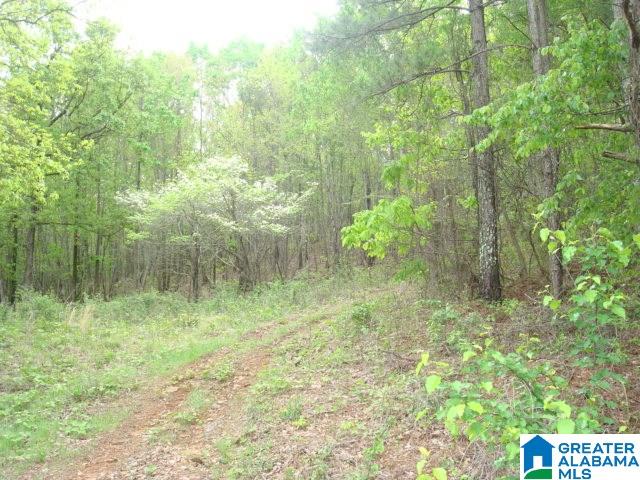 Kitchens Street, Unit 20 Anniston, AL 36201 - Photo 4 of 16