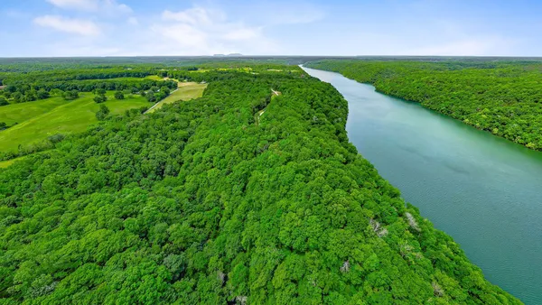 a view of a lush green forest with trees and houses