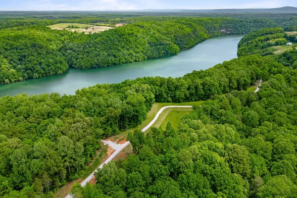 a view of a yard with plants and a trees