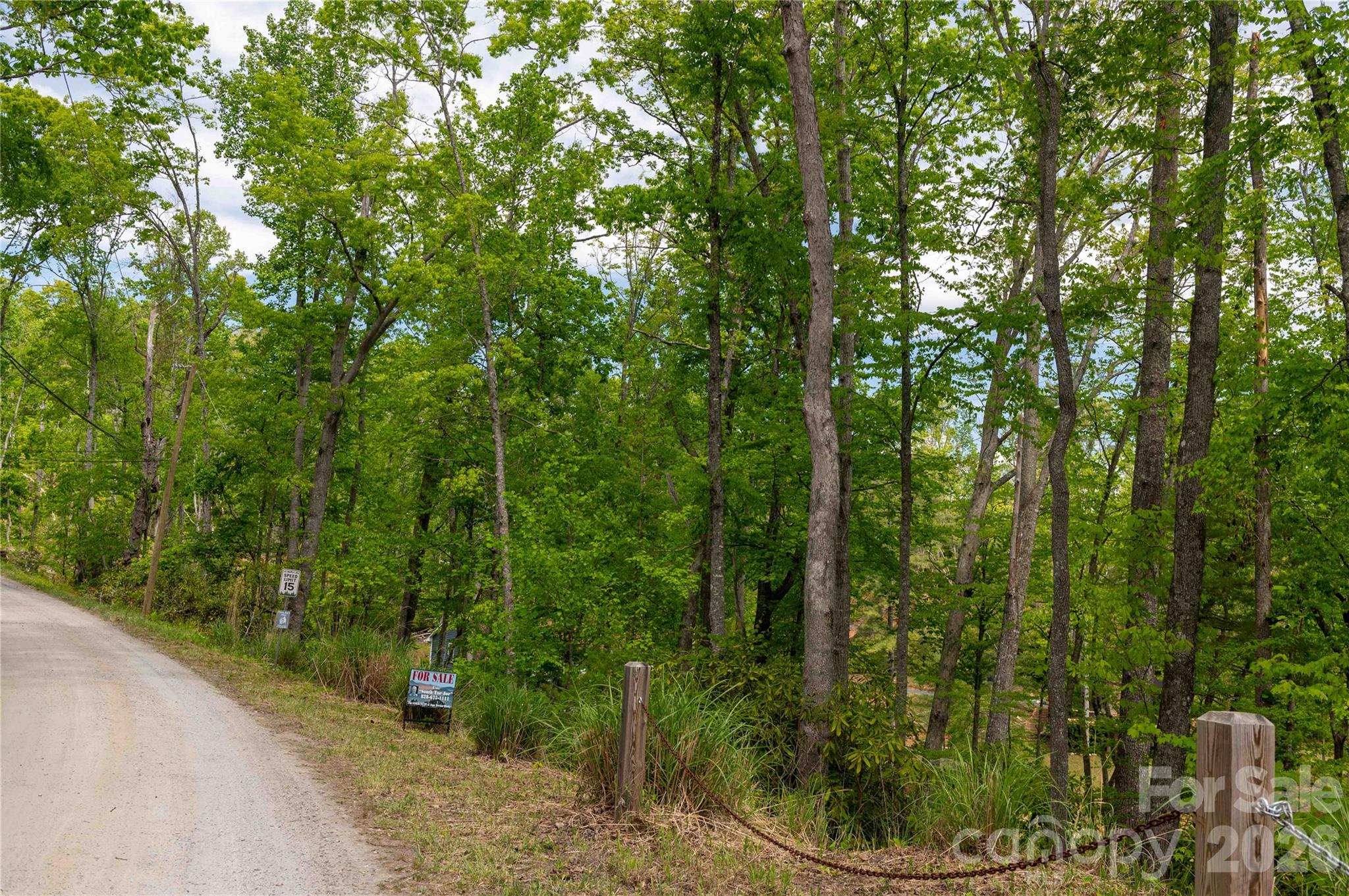 0 Deer Park Lake Road Spruce Pine, NC 28777 - Photo 1 of 24 a view of a yard