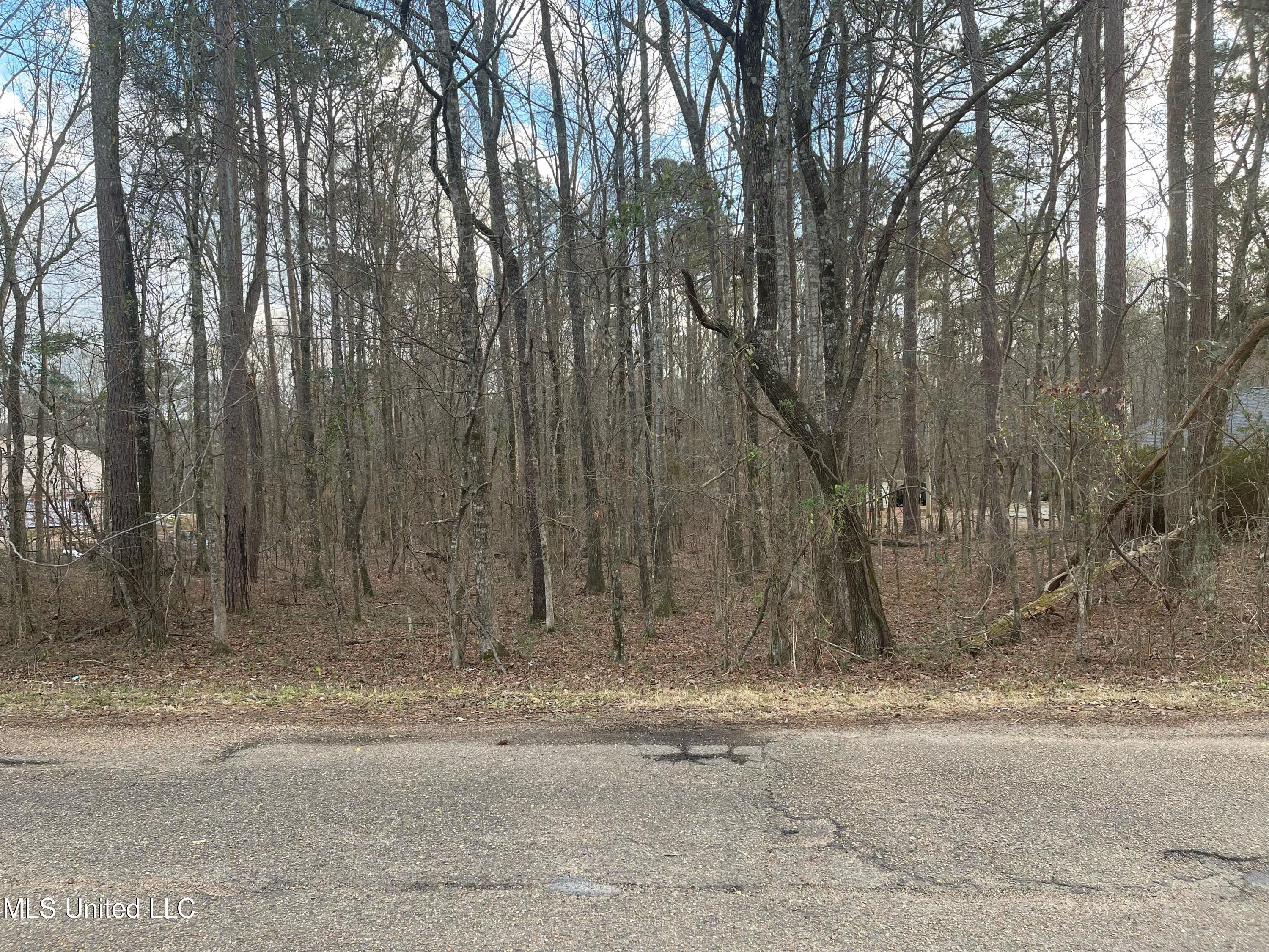 Pinedale Road Terry, MS 39170 - Photo 1 of 4 image0-4