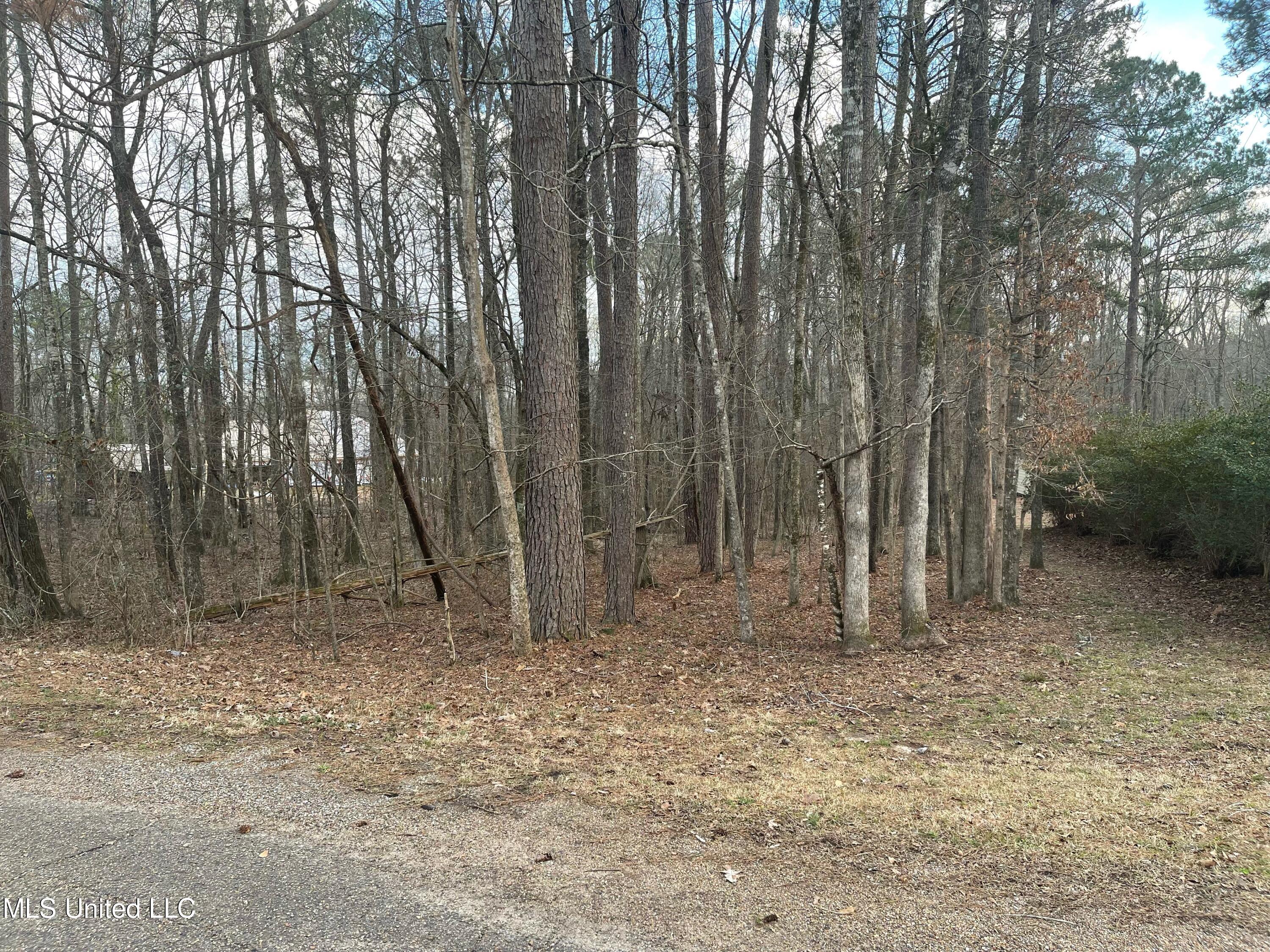 Pinedale Road Terry, MS 39170 - Photo 2 of 4 image2
