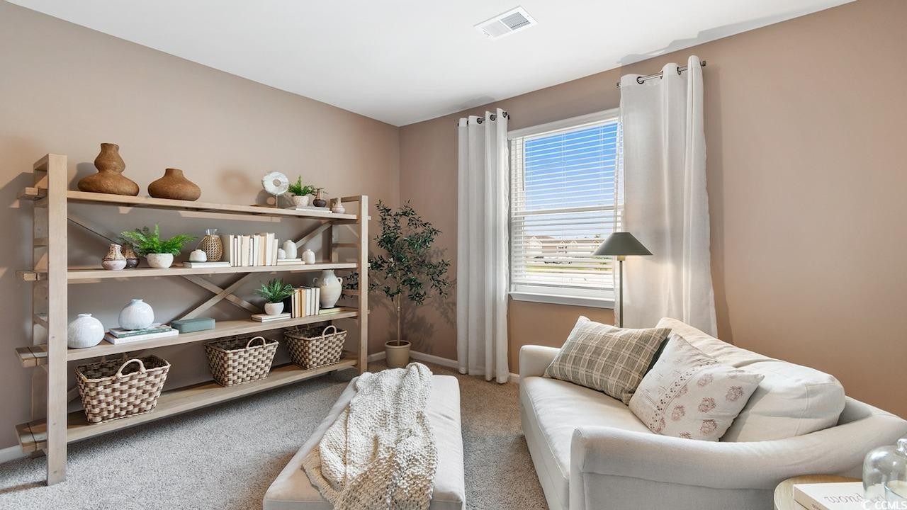 305 Cheerful Way Little River, SC 29566 - Photo 13 of 30