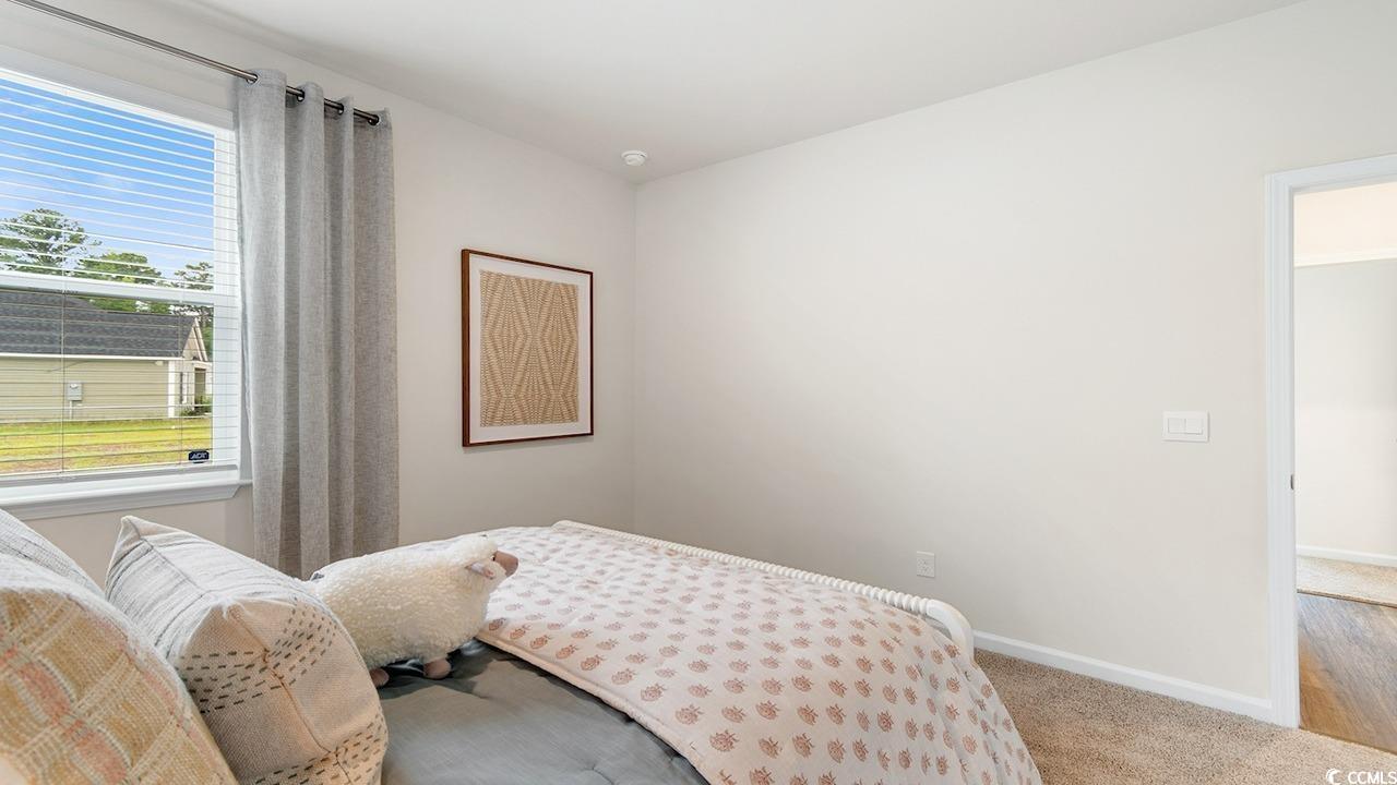 305 Cheerful Way Little River, SC 29566 - Photo 24 of 30