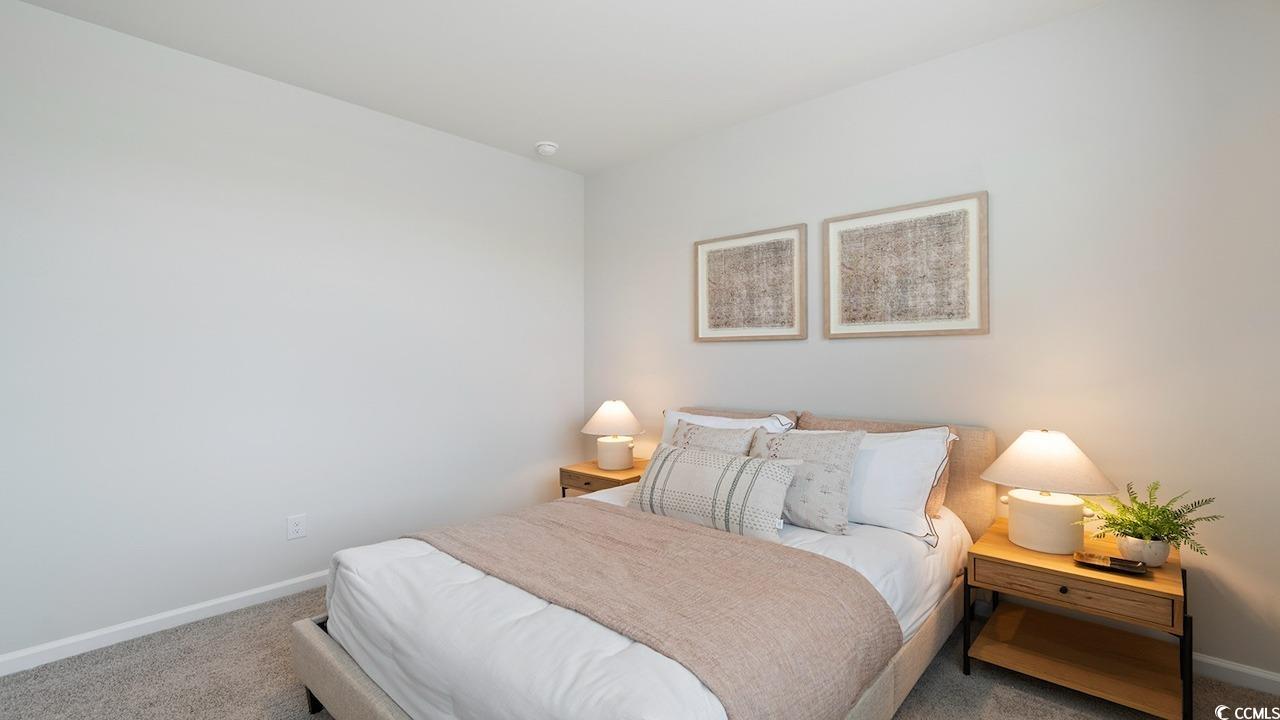 305 Cheerful Way Little River, SC 29566 - Photo 27 of 30